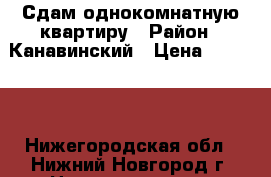 Сдам однокомнатную квартиру › Район ­ Канавинский › Цена ­ 10 000 - Нижегородская обл., Нижний Новгород г. Недвижимость » Квартиры сниму   . Нижегородская обл.